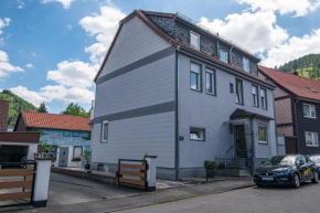 Ferienwohnung Bergblick -KEINE MONTEURE-